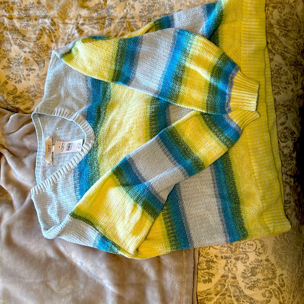 Ann Taylor Loft v-neck sweater, never worn new with tags.